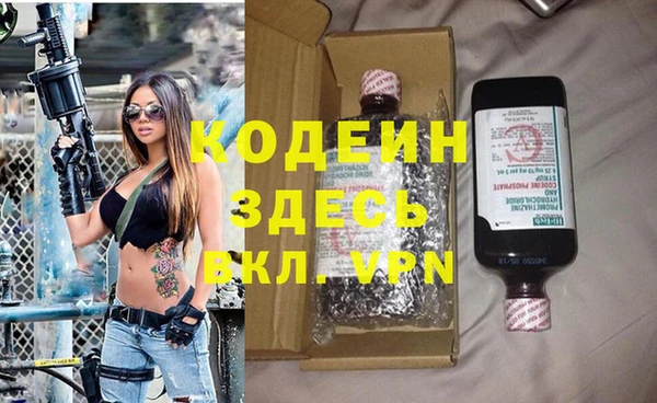 PSILOCYBIN Алзамай
