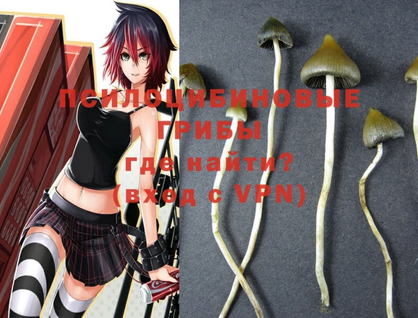 PSILOCYBIN Алзамай