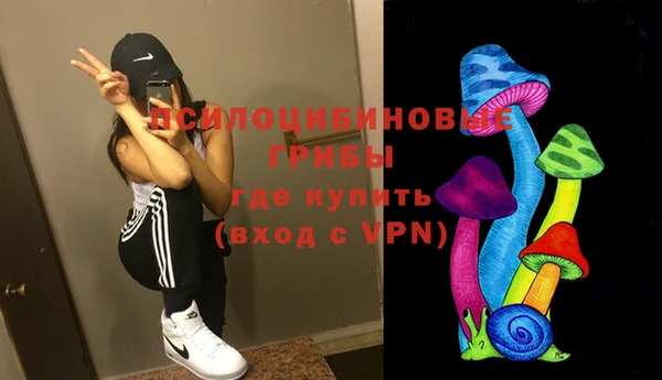 PSILOCYBIN Алзамай