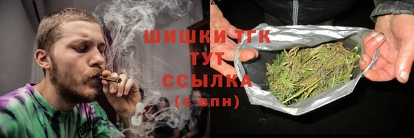 ешки Бикин