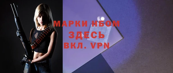 гашик Алексеевка