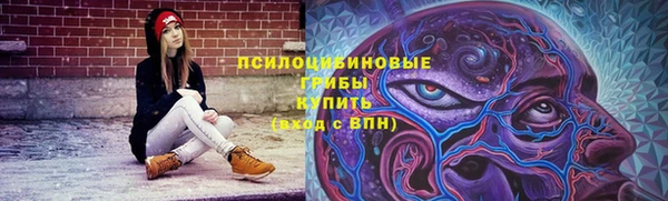 дурь Билибино