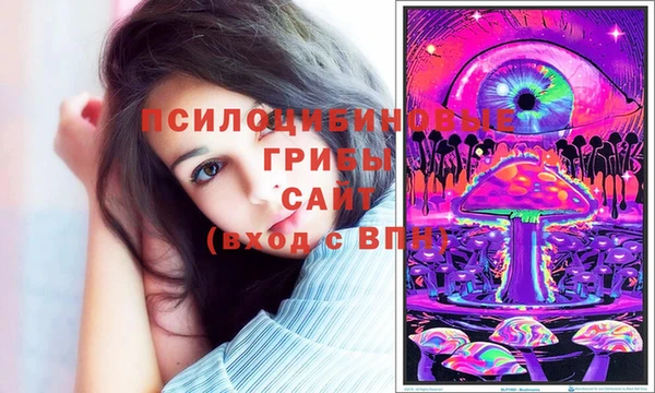 гашик Алексеевка