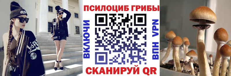 Псилоцибиновые грибы Magic Shrooms  цены   Кимры 